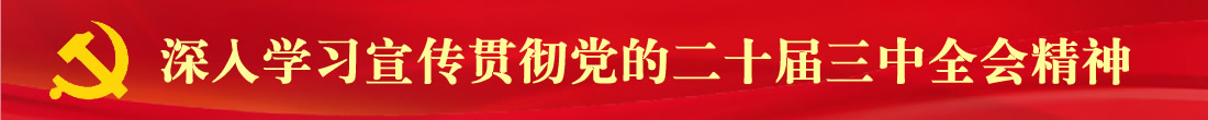 深入学习宣传贯彻党的二十届三中全会精神